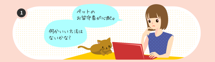 ネットワークカメラの使い方とリスク
